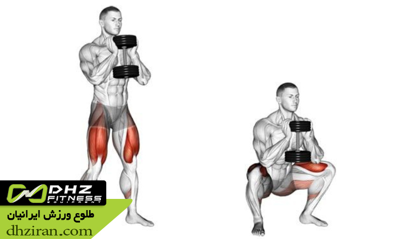 اسکات با وزن بدن یا دمبل سبک 